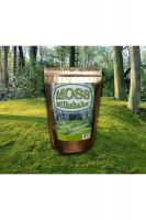 Moss Milkshake